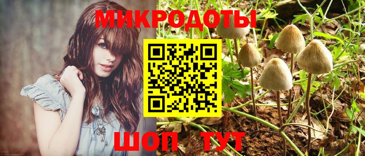 магазин    Псилоцибиновые грибы GOLDEN TEACHER  Вход с VPN  Галлюциногенные грибы GOLDEN TEACHER  Партизанск 