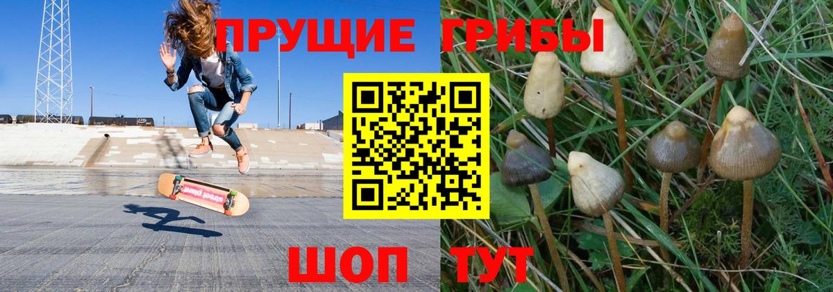 Псилоцибиновые грибы MAGIC MUSHROOMS Партизанск